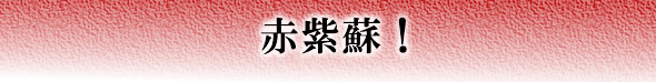 梅干し,梅,青梅,梅肉エキス,紀州南高梅干通販の専門店 - 深見梅店 - 紫蘇梅酢,ロズマリン酸